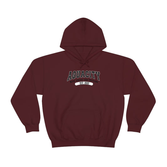 AquaCity Nation Hoodie Unisex